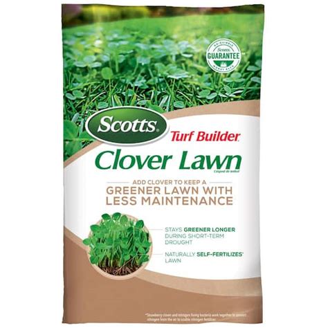 Since clover is not as hardwearing as grass, a mix ensures your lawn will withstand foot traffic and wont need regular reseeding. . Lowes clover seed